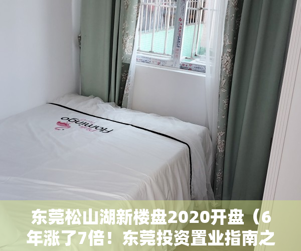 东莞松山湖新楼盘2020开盘（6年涨了7倍！东莞投资置业指南之——那些叫“松湖”的项目）