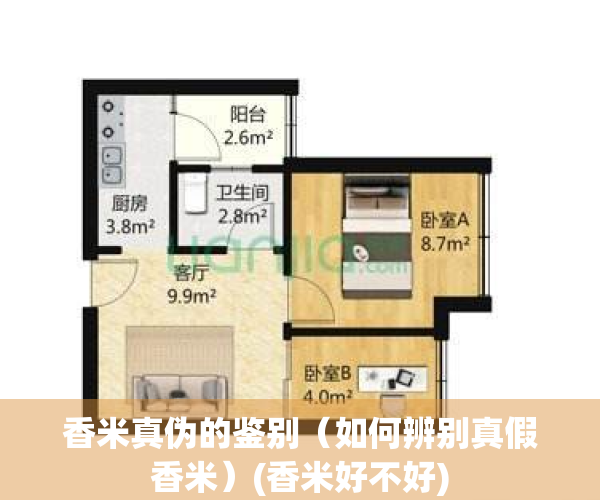 香米真伪的鉴别（如何辨别真假香米）(香米好不好)