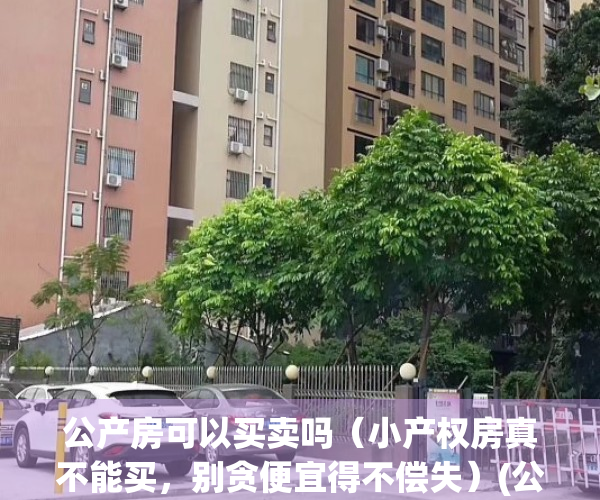公产房可以买卖吗（小产权房真不能买，别贪便宜得不偿失）(公产房可以买卖吗?到哪里办手续)