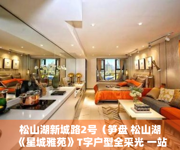 松山湖新城路2号（笋盘 松山湖《星城雅苑》T字户型全采光 一站直达华为松山湖）