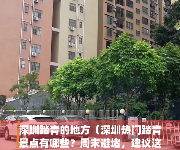 深圳踏青的地方（深圳热门踏青景点有哪些？周末避堵，建议这样做→）(深圳适合春游踏青的地方)