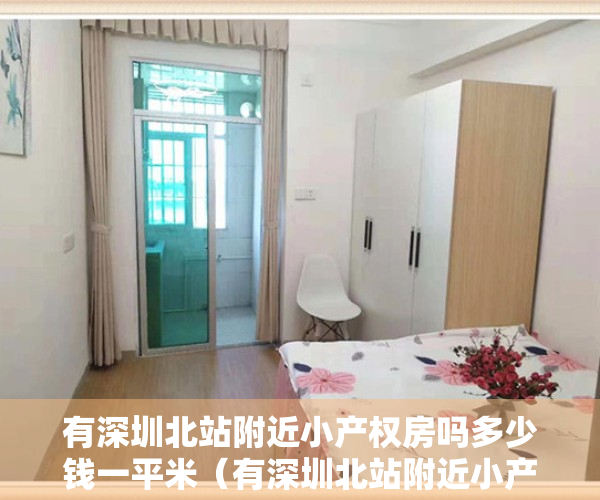 有深圳北站附近小产权房吗多少钱一平米（有深圳北站附近小产权房吗）