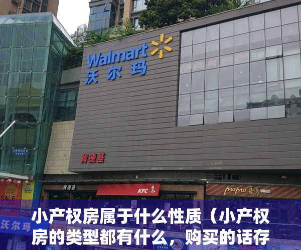 小产权房属于什么性质（小产权房的类型都有什么，购买的话存在什么法律风险？）