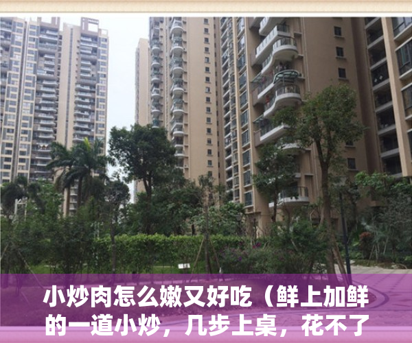 小炒肉怎么嫩又好吃（鲜上加鲜的一道小炒，几步上桌，花不了多少钱，就能炒满满一大盘）