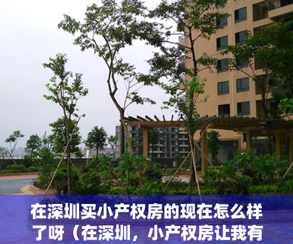 在深圳买小产权房的现在怎么样了呀（在深圳，小产权房让我有个家）(深圳买了小产权房的人现状)
