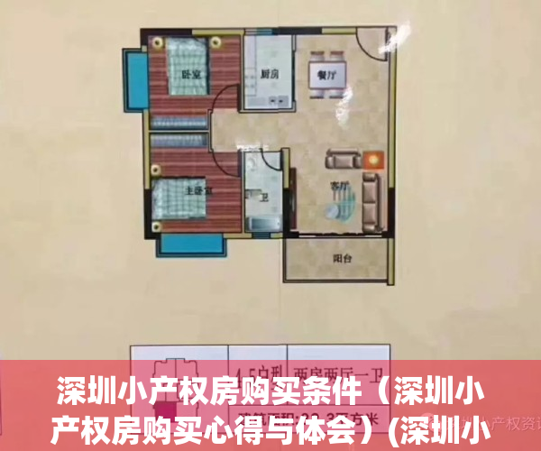 深圳小产权房购买条件（深圳小产权房购买心得与体会）(深圳小产权房购买流程)