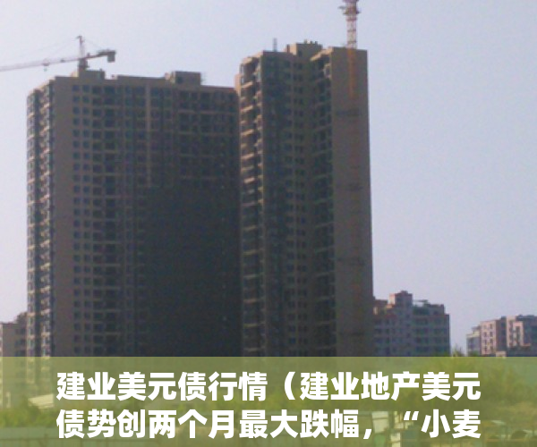 建业美元债行情（建业地产美元债势创两个月最大跌幅，“小麦换房”的营销手段市场并未买账，公司5月销售额同比减少713%）