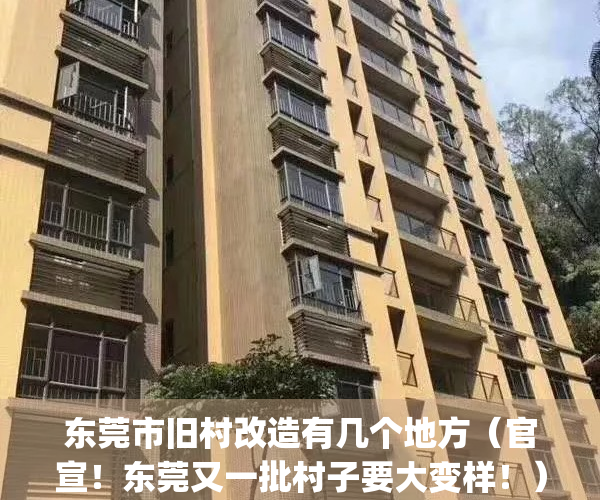 东莞市旧村改造有几个地方（官宣！东莞又一批村子要大变样！）(东莞市旧村改造征收房屋补偿标准)