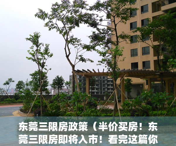 东莞三限房政策（半价买房！东莞三限房即将入市！看完这篇你就懂了！）(广东东莞开展三限房试点)