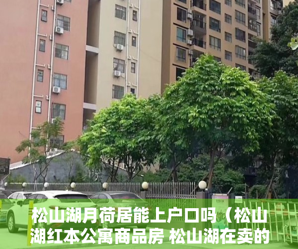 松山湖月荷居能上户口吗（松山湖红本公寓商品房 松山湖在卖的商品房公寓 月荷湖红本公寓【松湖Y+】 LOFT居家式精装交房带停车位）