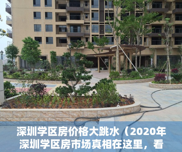 深圳学区房价格大跳水（2020年深圳学区房市场真相在这里，看懂再下手！）