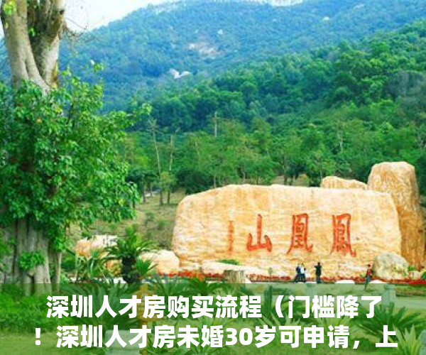 深圳人才房购买流程（门槛降了！深圳人才房未婚30岁可申请，上新数千套）