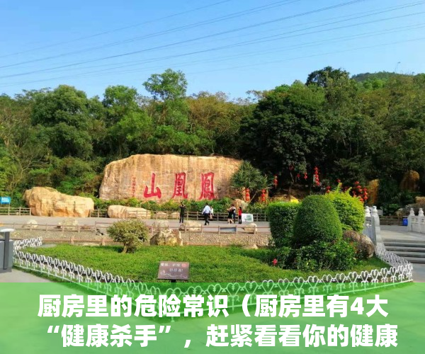 厨房里的危险常识（厨房里有4大“健康杀手”，赶紧看看你的健康有保障吗？）