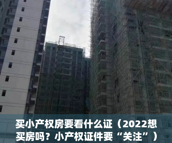 买小产权房要看什么证（2022想买房吗？小产权证件要“关注”）(购买小产权需要看哪些资料)