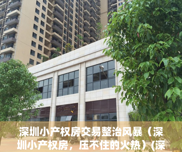 深圳小产权房交易整治风暴（深圳小产权房，压不住的火热）(深圳小产权房房源)