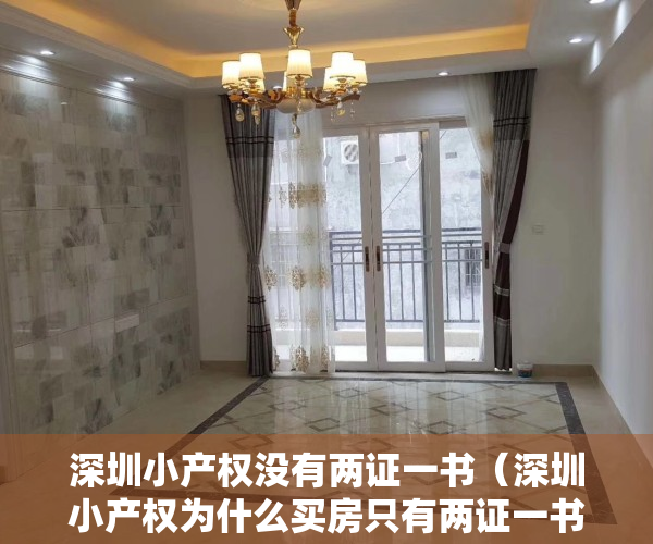 深圳小产权没有两证一书（深圳小产权为什么买房只有两证一书复印件）