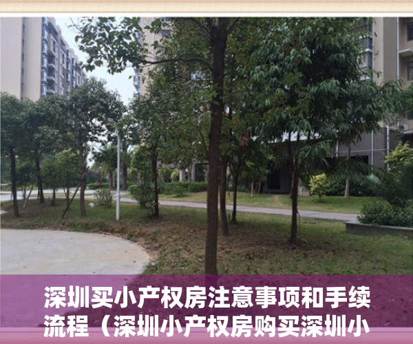 深圳买小产权房注意事项和手续流程（深圳小产权房购买深圳小产权房要注意哪些小产权房协议是有效的）
