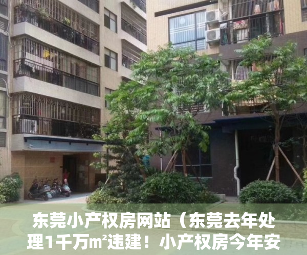 东莞小产权房网站（东莞去年处理1千万㎡违建！小产权房今年安全了吗？政府最新表态！）