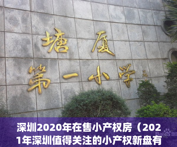 深圳2020年在售小产权房（2021年深圳值得关注的小产权新盘有哪些？）(深圳小产权楼盘)