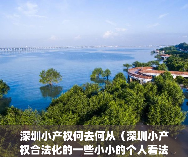 深圳小产权何去何从（深圳小产权合法化的一些小小的个人看法）(深圳小产权是合法产权嘛)
