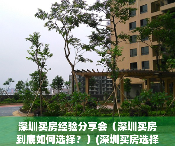 深圳买房经验分享会（深圳买房到底如何选择？）(深圳买房选择哪里)