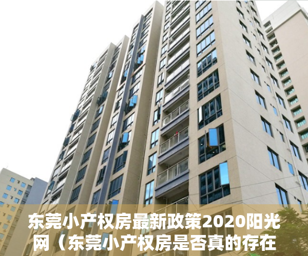 东莞小产权房最新政策2020阳光网（东莞小产权房是否真的存在可以转正？）