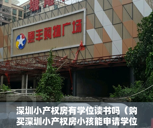 深圳小产权房有学位读书吗（购买深圳小产权房小孩能申请学位吗？需要什么材料？）