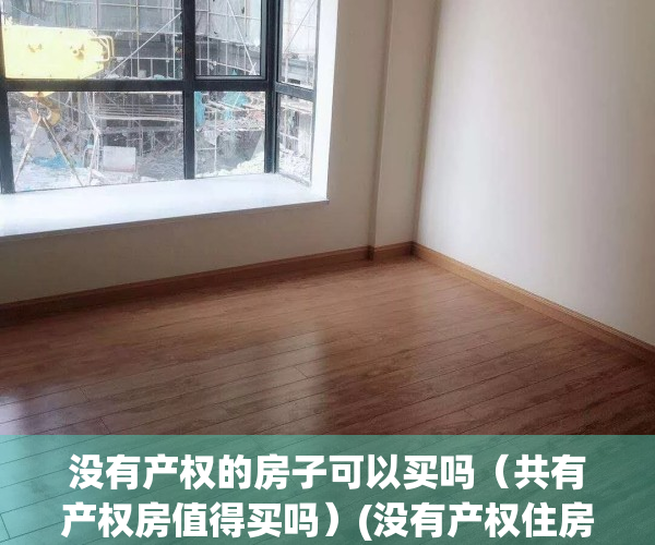 没有产权的房子可以买吗（共有产权房值得买吗）(没有产权住房)
