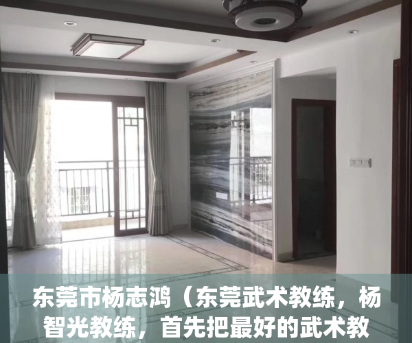 东莞市杨志鸿（东莞武术教练，杨智光教练，首先把最好的武术教给你！）(东莞市杨志精密五金有限公司)