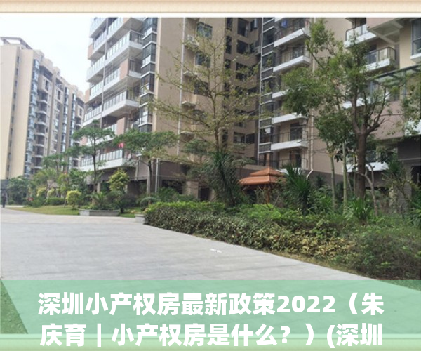 深圳小产权房最新政策2022（朱庆育｜小产权房是什么？）(深圳小产权2021年火了)