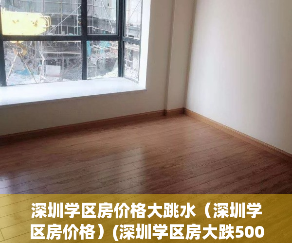 深圳学区房价格大跳水（深圳学区房价格）(深圳学区房大跌500万)