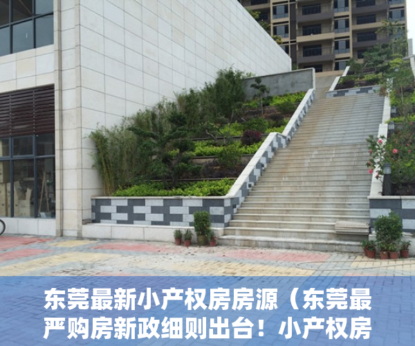东莞最新小产权房房源（东莞最严购房新政细则出台！小产权房是迎来春天！）
