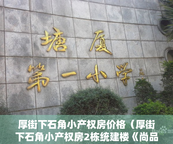 厚街下石角小产权房价格（厚街下石角小产权房2栋统建楼《尚品世家》空中花园）