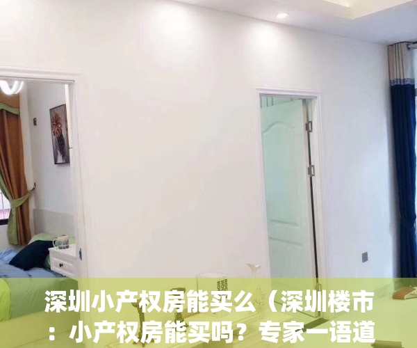 深圳小产权房能买么（深圳楼市：小产权房能买吗？专家一语道破）(深圳小产权房可以买吗?有什么技巧)