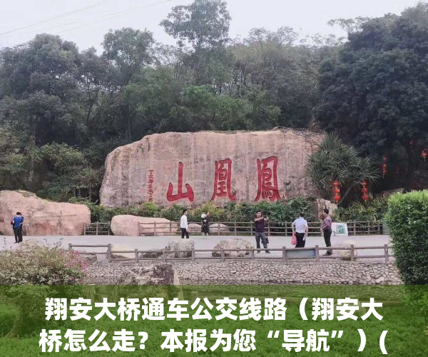 翔安大桥通车公交线路（翔安大桥怎么走？本报为您“导航”）(翔安大桥多少公里)