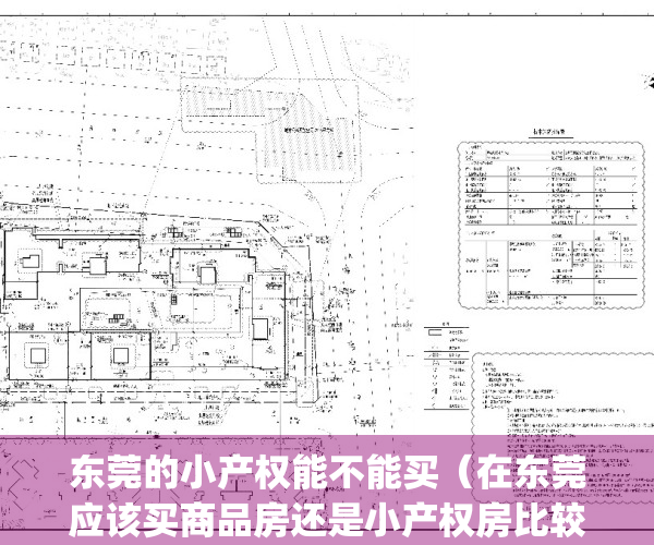 东莞的小产权能不能买（在东莞应该买商品房还是小产权房比较好？）(在东莞买小产权房风险大吗?)