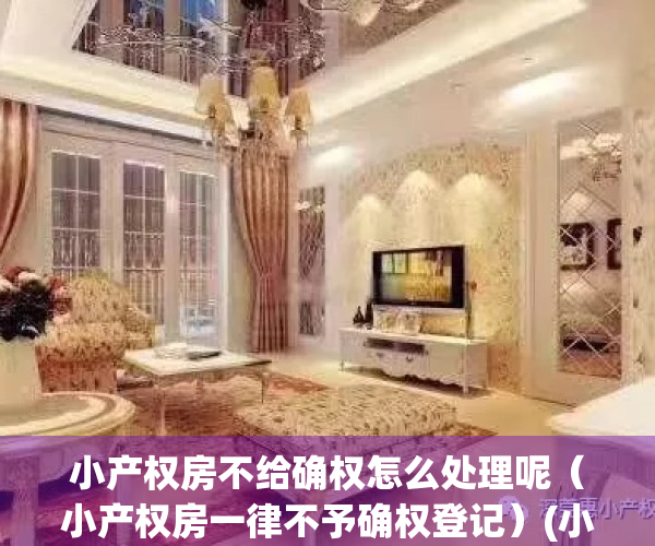 小产权房不给确权怎么处理呢（小产权房一律不予确权登记）(小产权房不能确权)