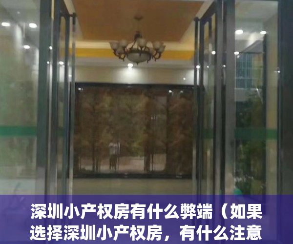 深圳小产权房有什么弊端（如果选择深圳小产权房，有什么注意事项？）(深圳小产权房值得投资吗)