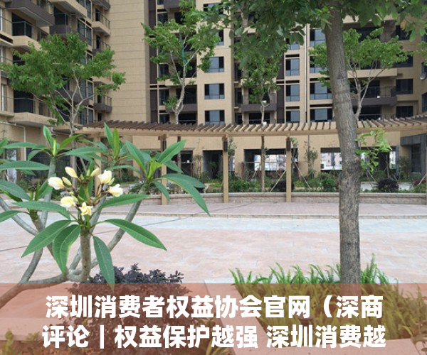 深圳消费者权益协会官网（深商评论｜权益保护越强 深圳消费越火）