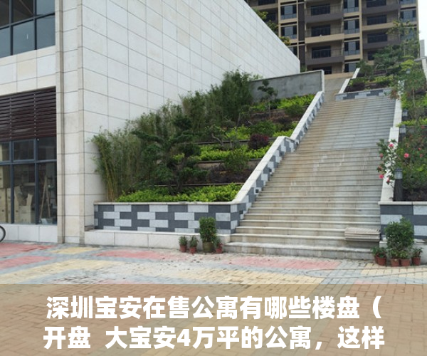 深圳宝安在售公寓有哪些楼盘（开盘  大宝安4万平的公寓，这样的房都有人抢？）