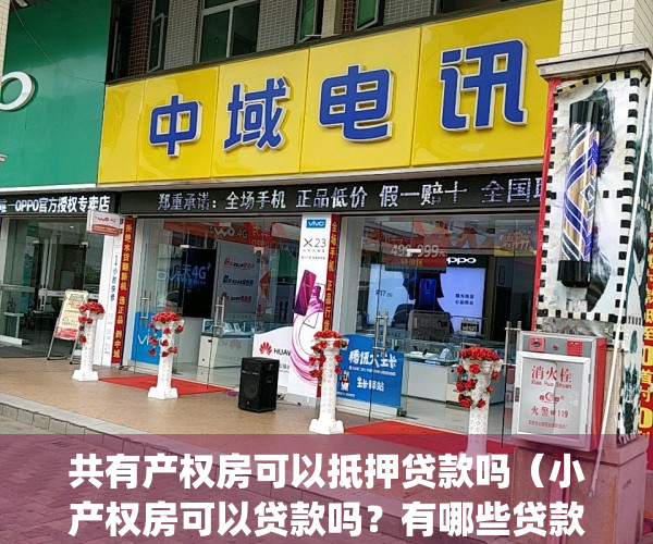 共有产权房可以抵押贷款吗（小产权房可以贷款吗？有哪些贷款方式？）(共有产权房可以办理抵押贷款吗)