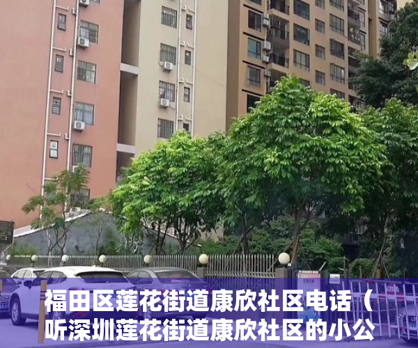 福田区莲花街道康欣社区电话（听深圳莲花街道康欣社区的小公民们聊聊文明城市那些事儿）
