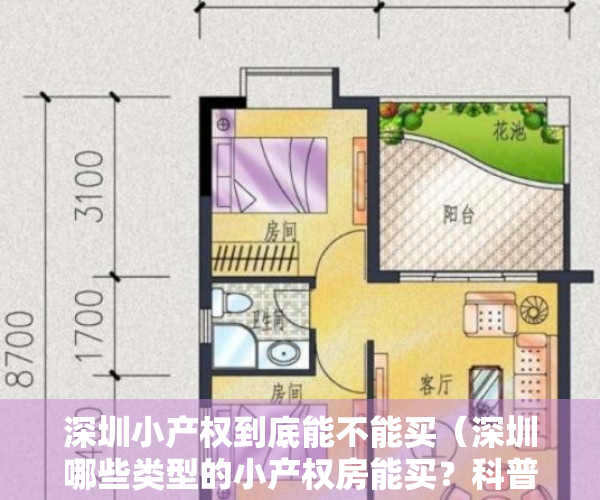 深圳小产权到底能不能买（深圳哪些类型的小产权房能买？科普各类小产权利弊！）