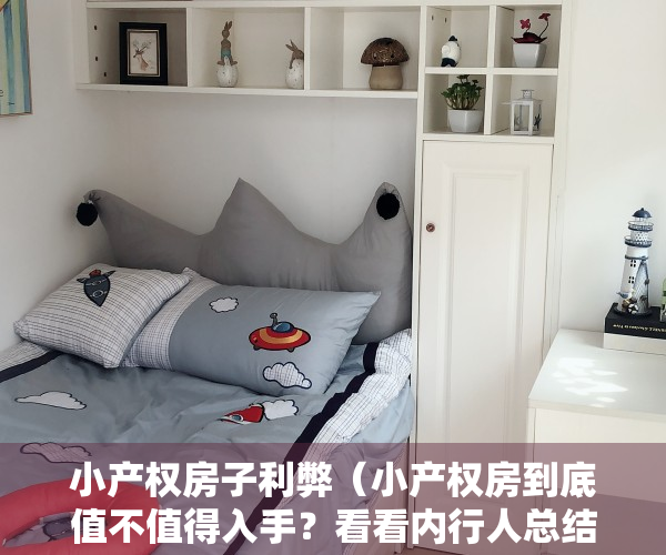 小产权房子利弊（小产权房到底值不值得入手？看看内行人总结的5点，利弊一目了然）