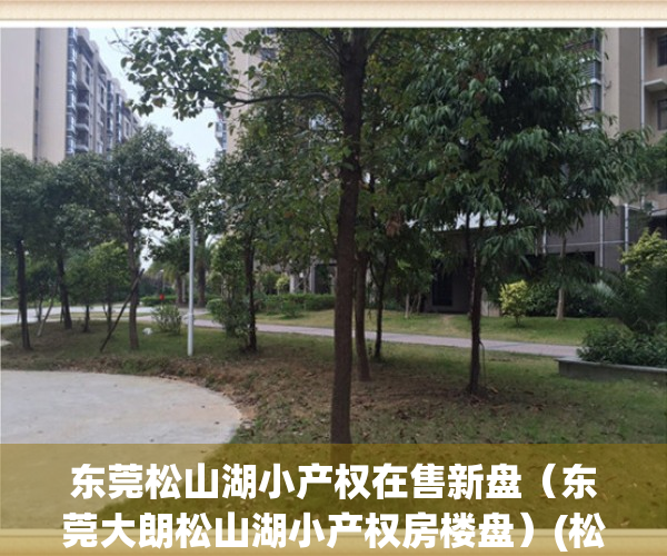 东莞松山湖小产权在售新盘（东莞大朗松山湖小产权房楼盘）(松山湖小产权可靠吗)