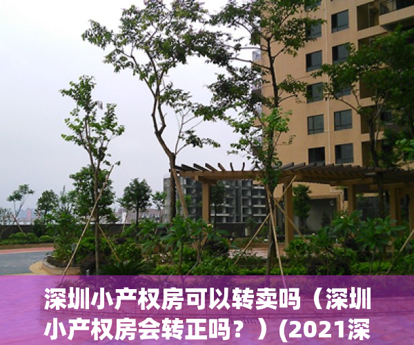 深圳小产权房可以转卖吗（深圳小产权房会转正吗？）(2021深圳小产权房可以过户吗)
