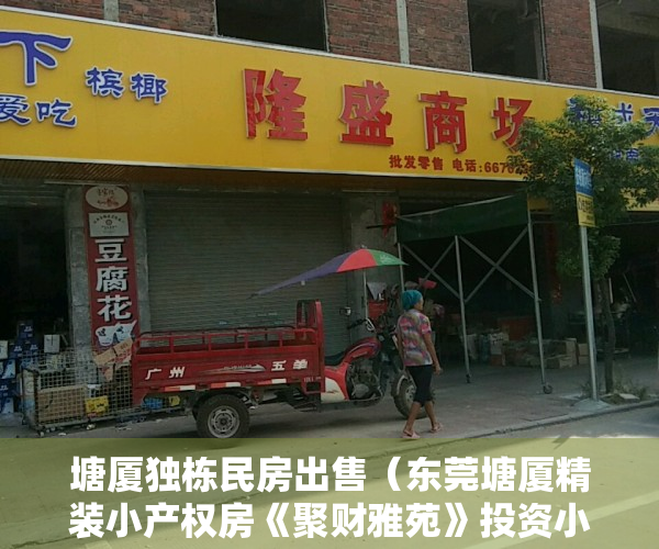塘厦独栋民房出售（东莞塘厦精装小产权房《聚财雅苑》投资小收益高两房36万起）