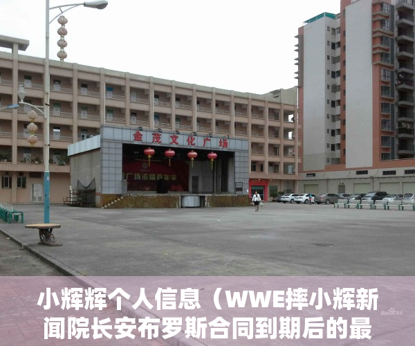 小辉辉个人信息（WWE摔小辉新闻院长安布罗斯合同到期后的最新消息）