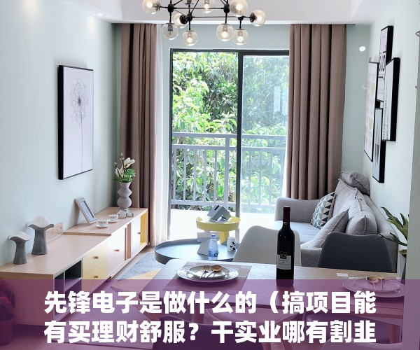 先锋电子是做什么的（搞项目能有买理财舒服？干实业哪有割韭菜香？先锋电子：上市后只想躺平，只想套现，舒服！）