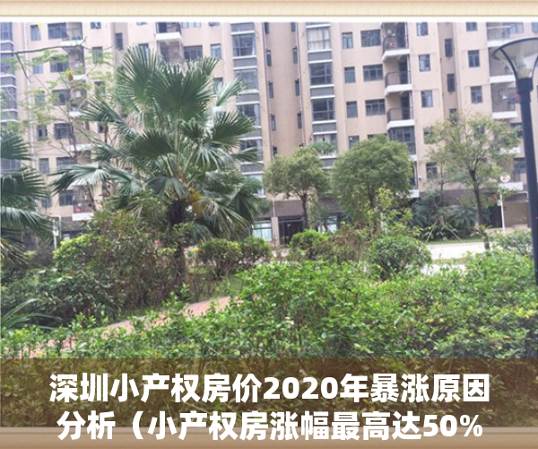 深圳小产权房价2020年暴涨原因分析（小产权房涨幅最高达50%！深圳楼市再被央媒点名）